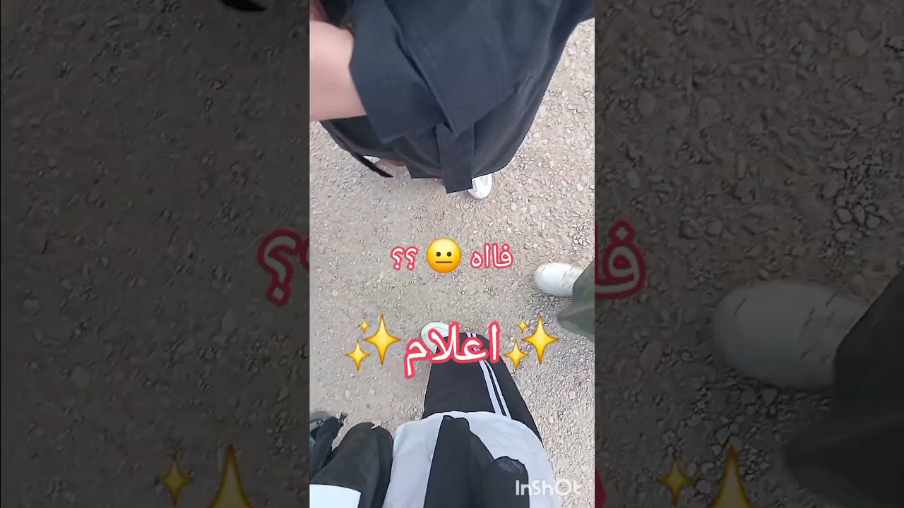 ( لساتني عايشة 👍💔) #شعب_الصيني_ماله_حل #cat #capcutedit #جزائر #اختبارات_نهائية