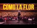 Ke Personajes - Como La Flor (Video Oficial)