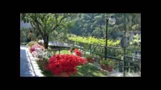 preview picture of video 'Agriturismo Cerisola 2003'