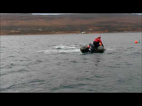 Entangled humpback whale rescue, Loch Eriboll, 2016