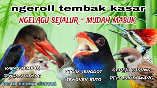 Download lagu Kombinasi Masteran Burung Lomba || Ngerol Tembak Kasar Materi Nyambung Sejalur mp3