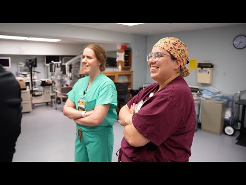 Dr. Sara May, Allergy and Immunology