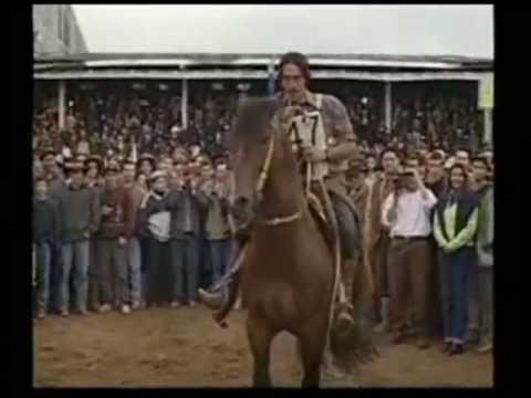 Destaque de Santa Adriana