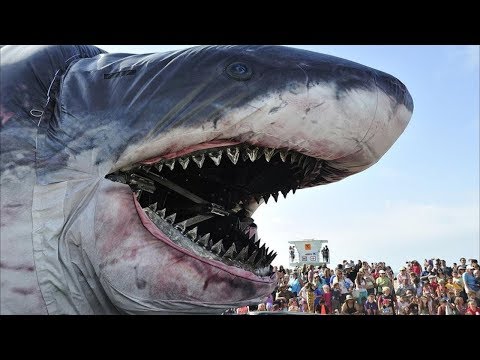 5 Самых аномально больших животных в мире