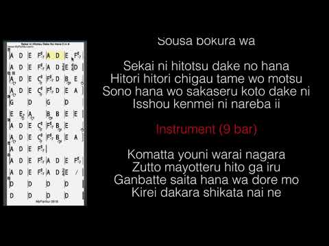 Sekai ni Hitotsu Dake no Hana - SMAP