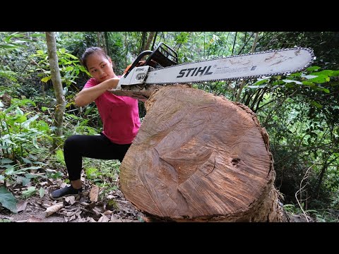 My New friend (Chainsaw) Unlimited power