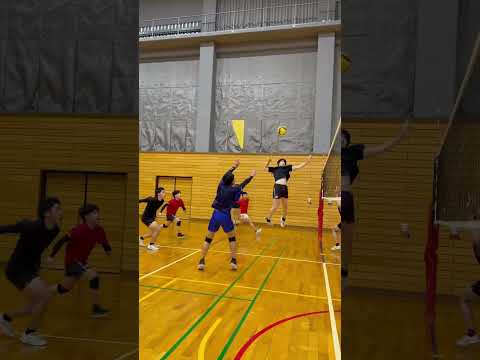 福山平成大学男子バレーボール部です！ #バレーボール #バレーボール男子 #大学生 #ハイキュー