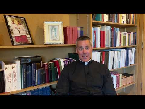 Pastor's Weekly Update - August 15, 2020