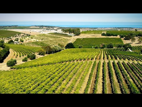 McLaren Vale Wine Region | Two Hands Wines