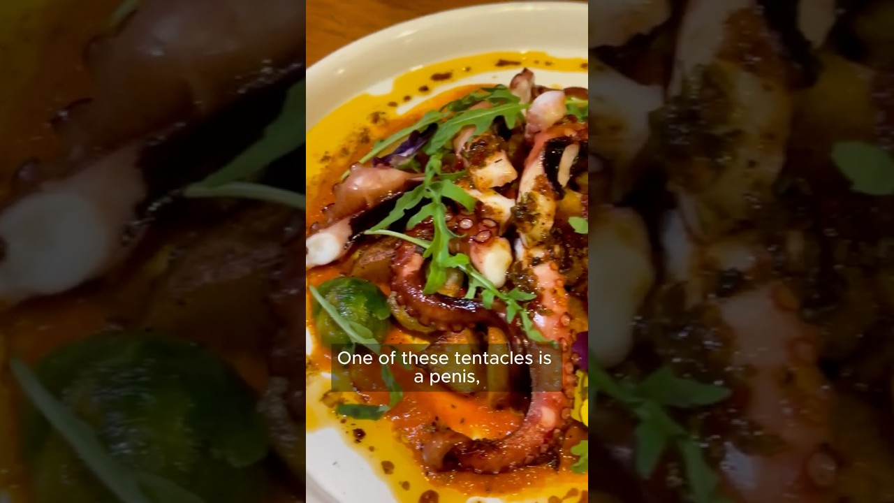 Fatfish Restaurant & Lounge Bar review