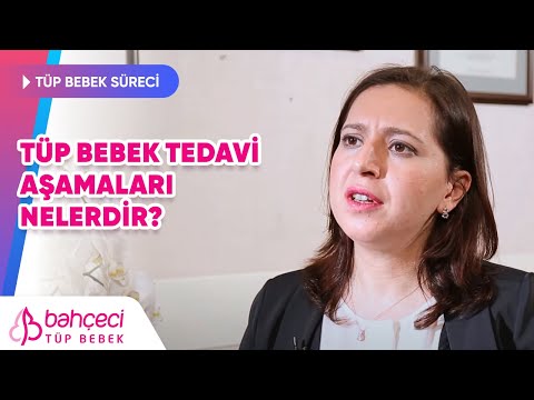 Tüp Bebek Tedavi Aşamaları Nelerdir?