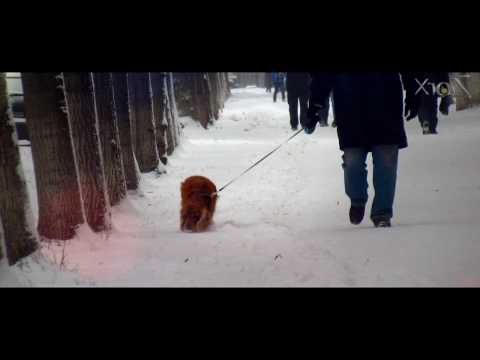 From This Christmas On - Martin Carlberg