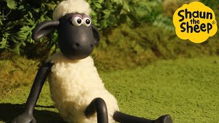 Shaun the Sheep 🐑 Lazy Day- Cartoons for Kids 🐑 Full Episodes Compilation [1 hour]