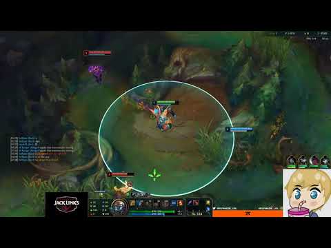 L9 Selfmade it's always supp GAP..