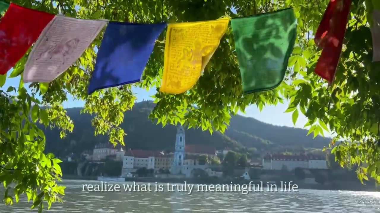 Our Teacher Trainings at the blue Danube - Yoga Teacher Training Video by Matsya Yoga