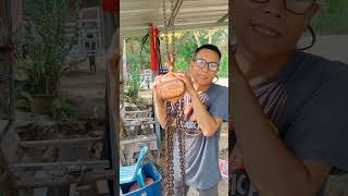 รีวิว รอกโซ้สาวสภาพสวย ep2 ยากได้โซ้ยาวขนาด8เมตร ติดต่องาน0852881466