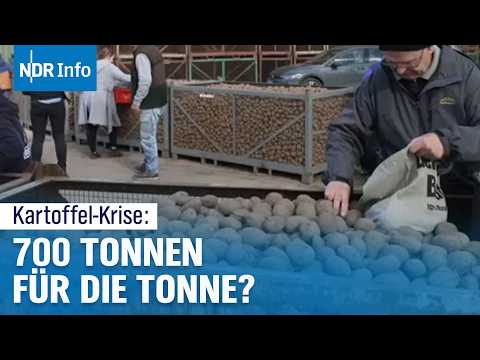 700 Tonnen Kartoffeln verschenken: Landwirt löst Kartoffelkrise kreativ | NDR Info