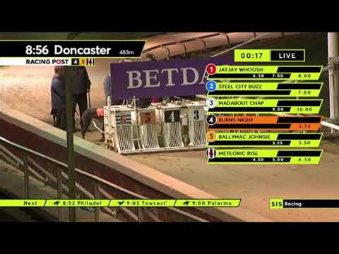 Carreras de Galgos - Doncaster 2021 🇬🇧 SIS