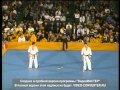 Shokei Matsui Vs Andy Hug Mp4