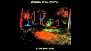 Mountain Animal Hospital- Avian Influenza