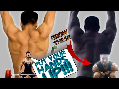 Lu Lateral Raises: The Delicious Deltoid Destroyers