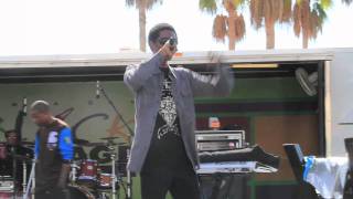 Tampa Black Heritage Festival:Hip-Hop Performance(TreStylez, MJ, Drew Willz).mov