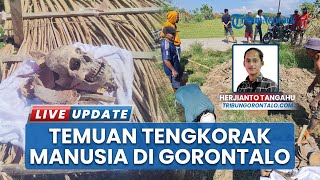 Geger Gorontalo: Warga Temukan Tengkorak Manusia di Lahan Pertanian, Bukan Kuburan