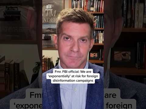 Fmr. FBI official: We are 'exponentially' at risk for foreign disinformation campaigns