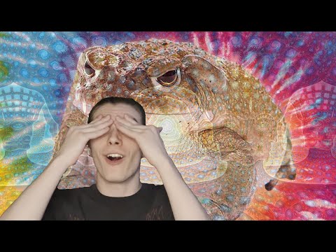 5-MeO-DMT Breakthrough (Trip Report)