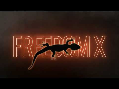 FreedomX - Launch