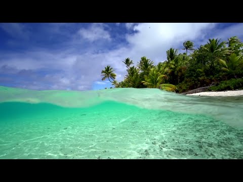"Tropical Weightlessness" 1 HR Nature Video + Calming Acoustic Guitar Music for Relaxation - Tahiti