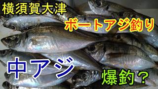 横須賀大津まるまつ丸ボートアジ釣り