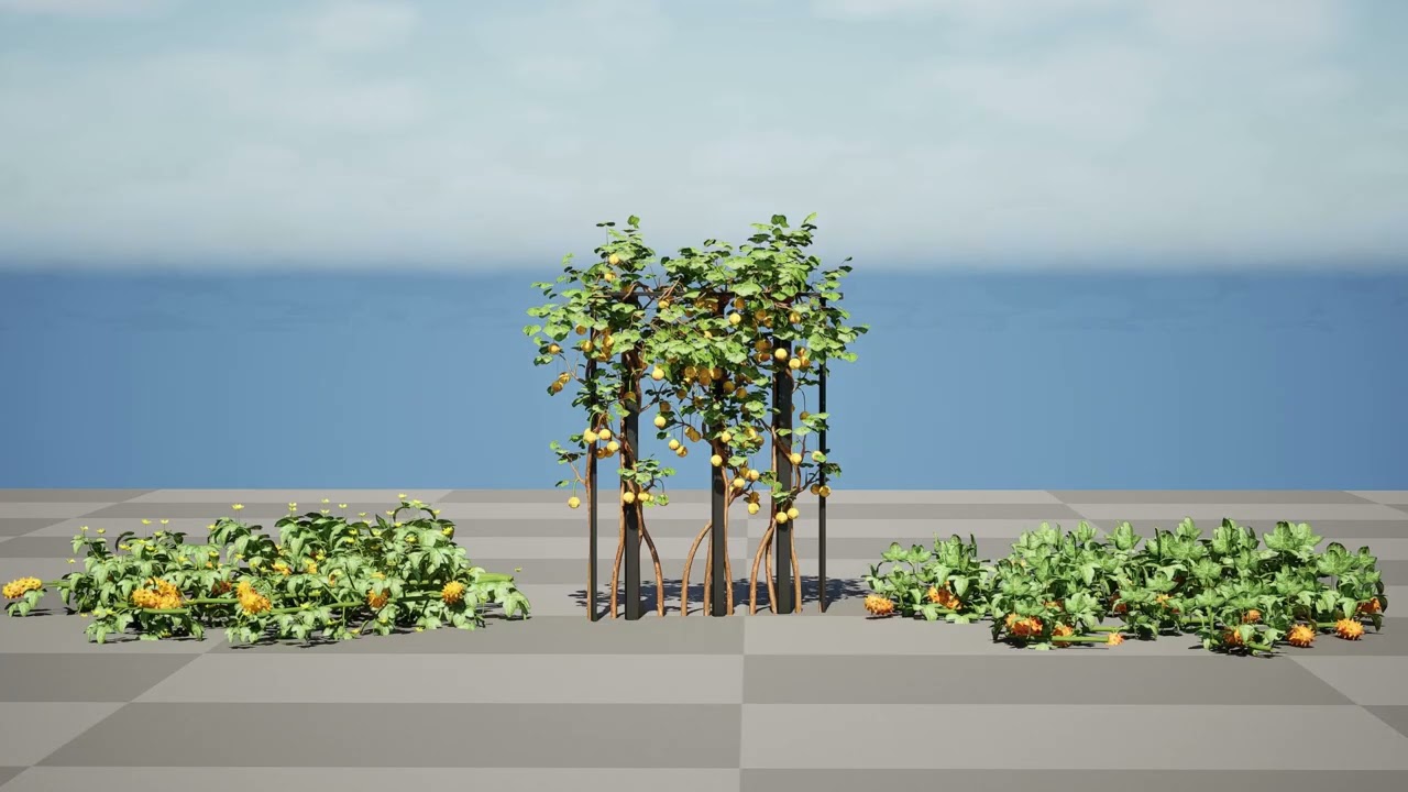 Kiwano Klant Fruit Vegtable Plants 3D Model
