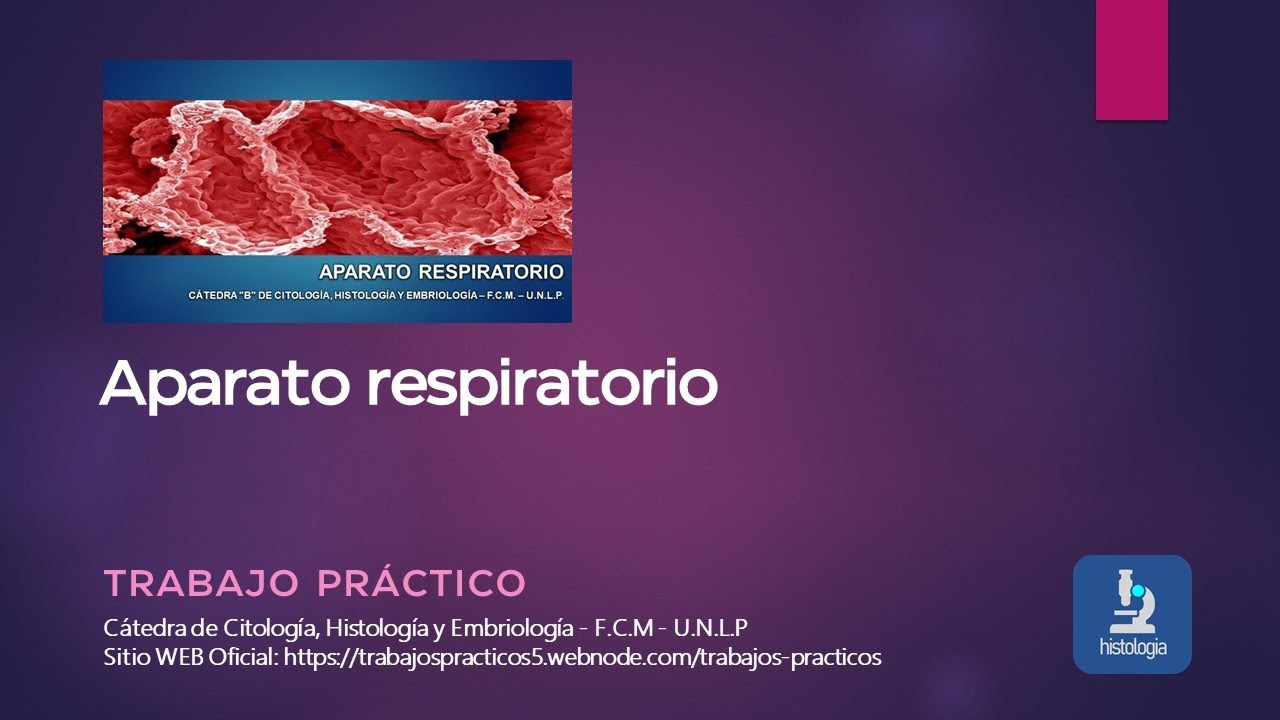 APARATO RESPIRATORIO - TRABAJO PRÁCTICO