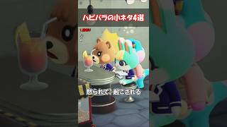ハッピーホームパラダイスの小ネタ4選 【あつ森】@ほのげ