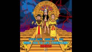 Bring You To Life (Garmiani Remix) - Steve Aoki &amp; Rune RK feat. Ras