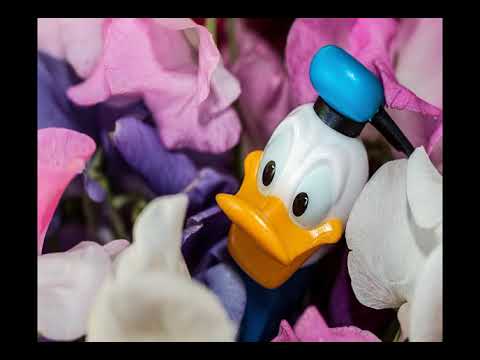 Ian McKellen regresa a El Señor de los Anillos