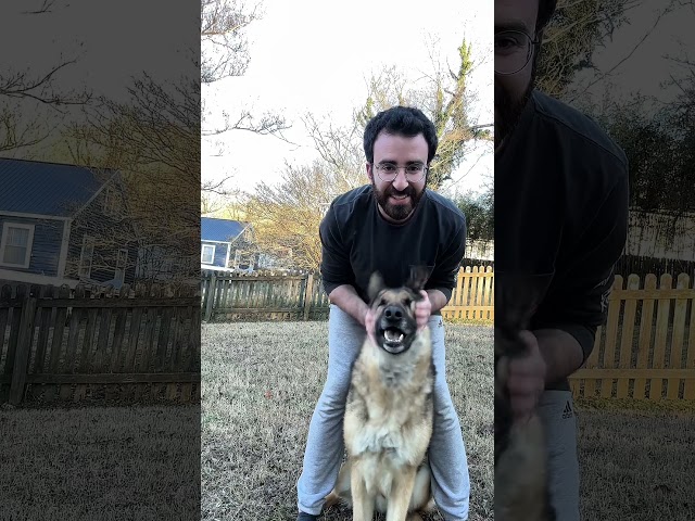 Vídeo relacionado con Dog Dad Definition Best Dogs For Daddy Funny Fathers Day Camiseta