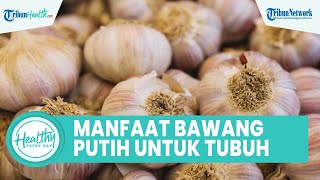 Manfaat Bawang Putih untuk Kesehatan, Atur Tekanan Darah hingga Mengurangi Risiko Penyakit Jantung