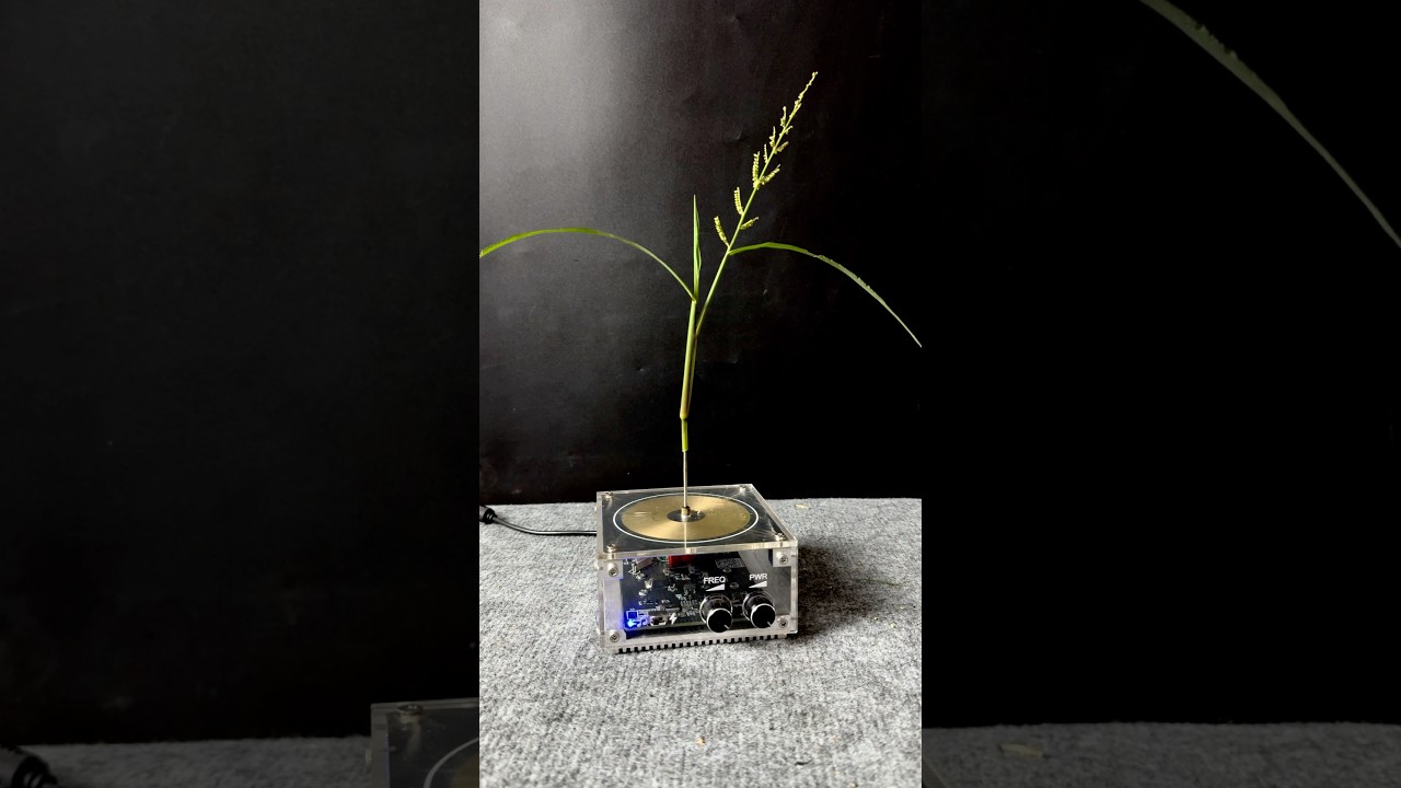 Lightning + plant ep1