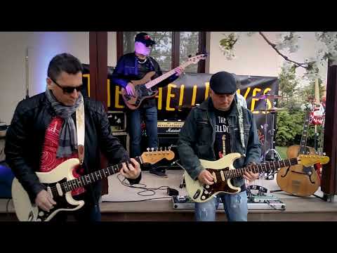 The ShellDoves - The Rise And Fall of Flingel Bunt (The Shadows Style 1964 cover)