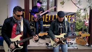 The ShellDoves - The Rise And Fall of Flingel Bunt (The Shadows Style 1964 cover)