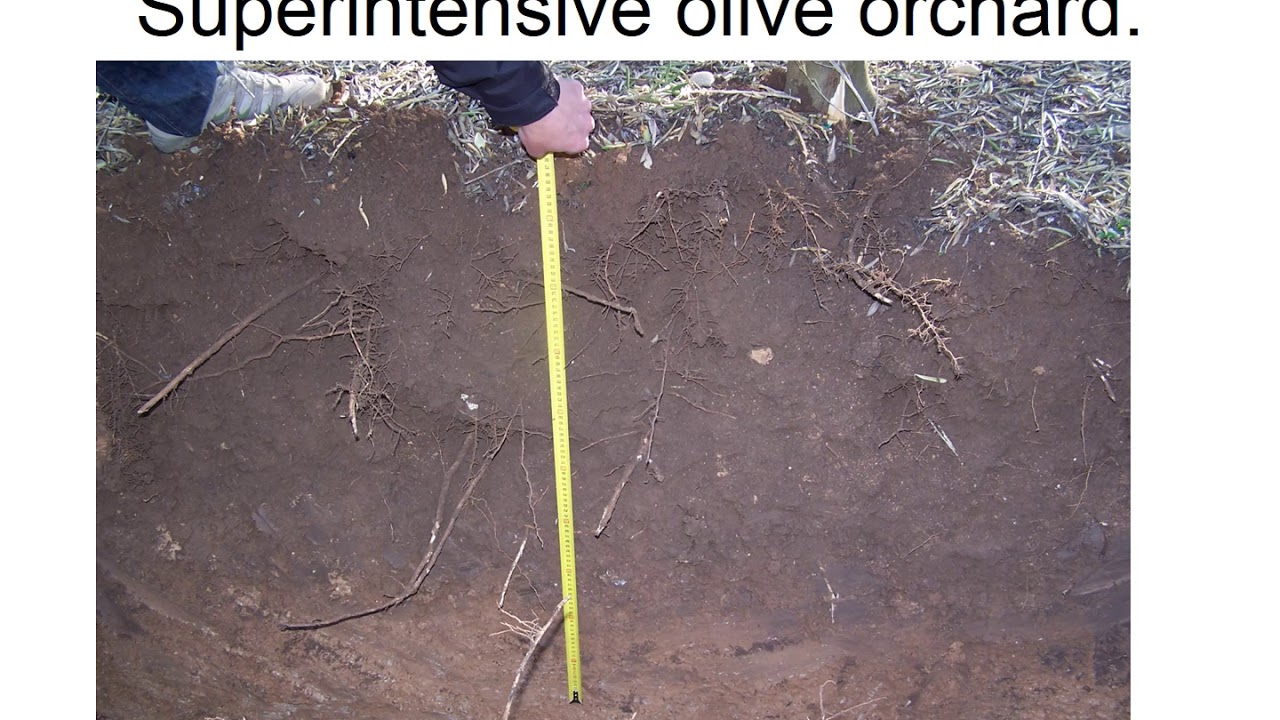 Lecture. Irrigation scheduling using the water balance
