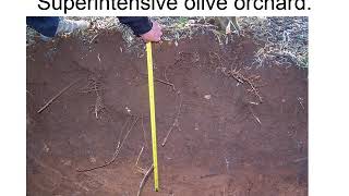 Lecture. Irrigation scheduling using the water balance