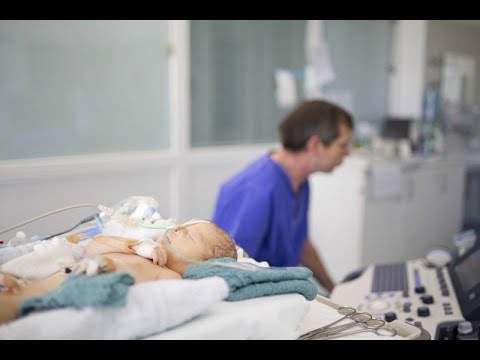 ECMO-Therapie bei Neugeborenen