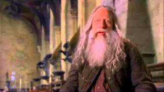 ASP subway to Sally ft.  Dumbledore ZaubererBruder