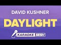 Daylight Karaoke | David Kushner