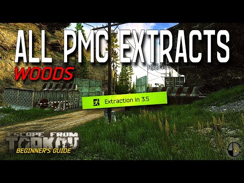 How to Find All PMC Exfils on Woods | Escape from Tarkov Beginner's Guide