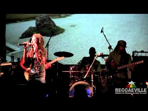 Rootz Underground - Herb Fields [Live in Kingston, Jamaica 2/4/2012]