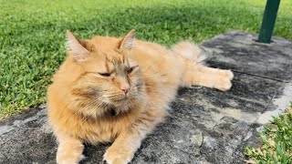 It Rained For Two Weeks